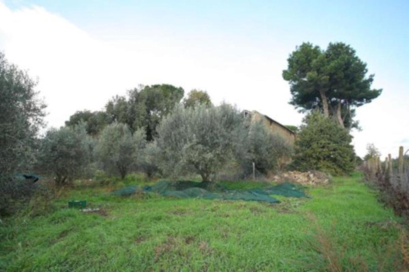 Antico Borgo La Commenda Montefiascone Exterior foto